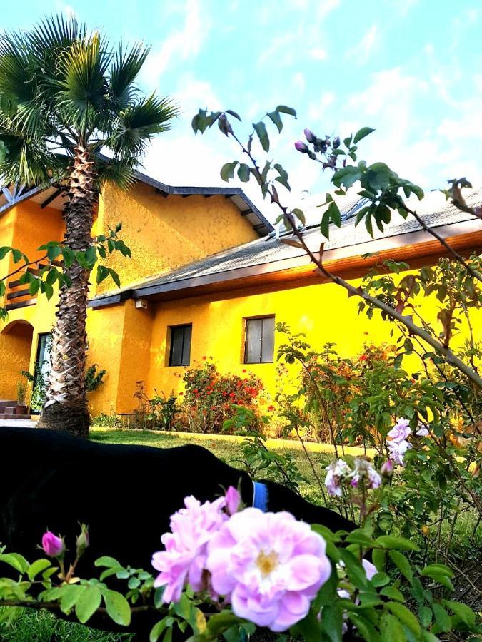 Casa Felice Guest House La Serena Eksteriør bilde