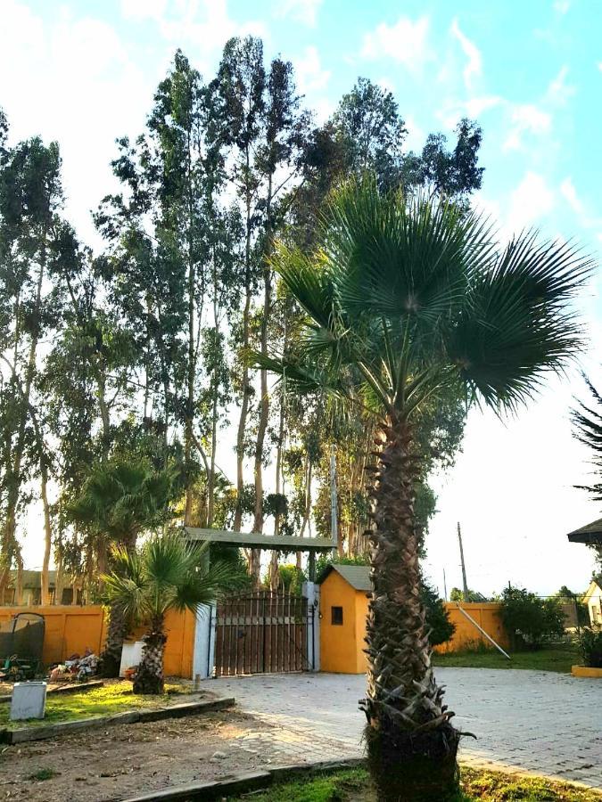 Casa Felice Guest House La Serena Eksteriør bilde