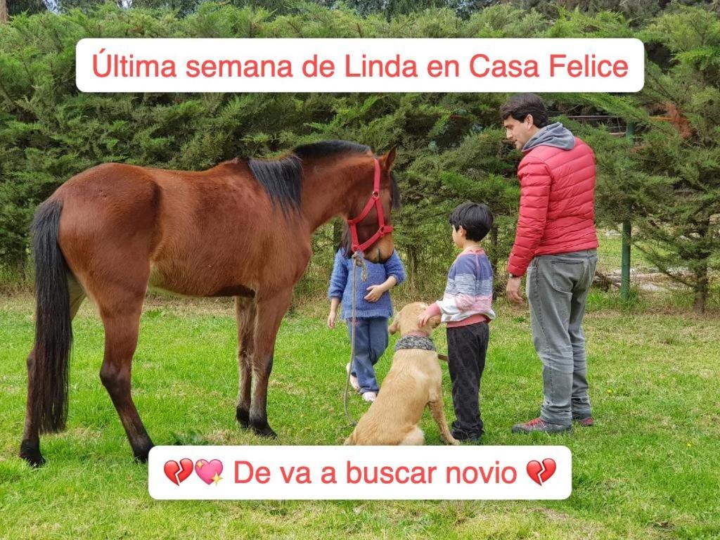 Casa Felice Guest House La Serena Eksteriør bilde