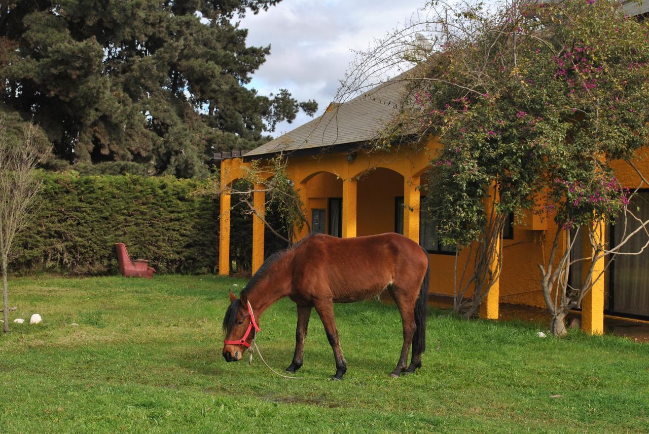 Casa Felice Guest House La Serena Eksteriør bilde