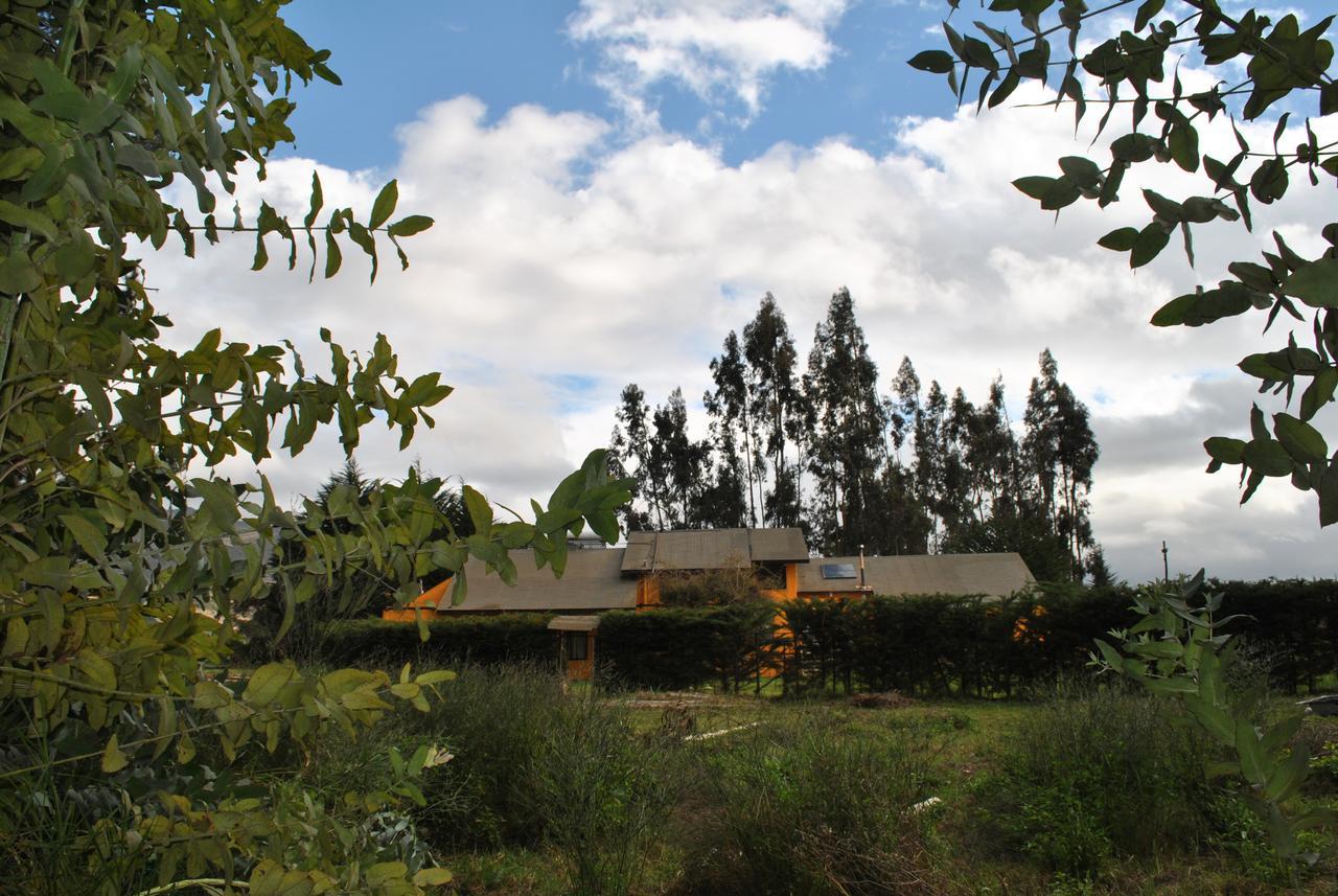 Casa Felice Guest House La Serena Eksteriør bilde