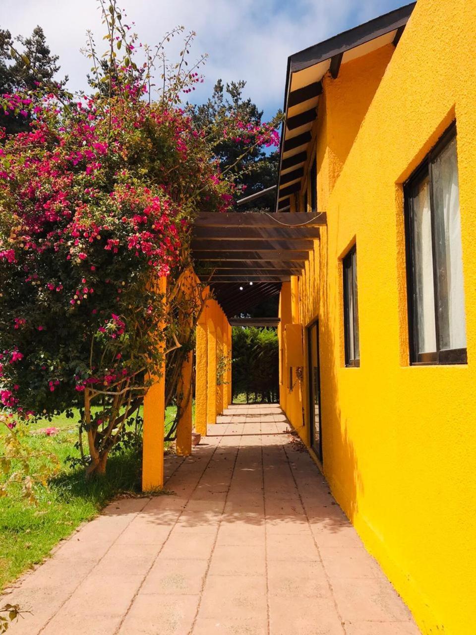 Casa Felice Guest House La Serena Eksteriør bilde